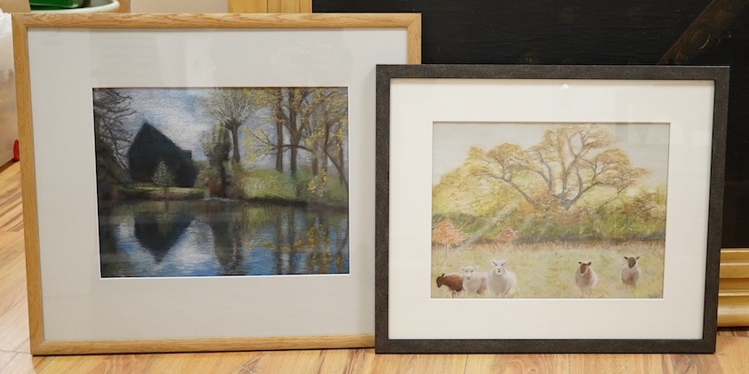 Sue Arnold (Contemporary) two pastels on paper, ‘Sheep, low sun’ and ‘Dark reflections’, one monogrammed, one signed verso, largest 29 x 38cm. Condition - good